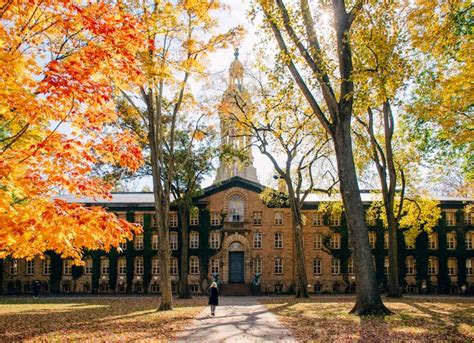 princeton rd acceptance rate|requirements to get into princeton.